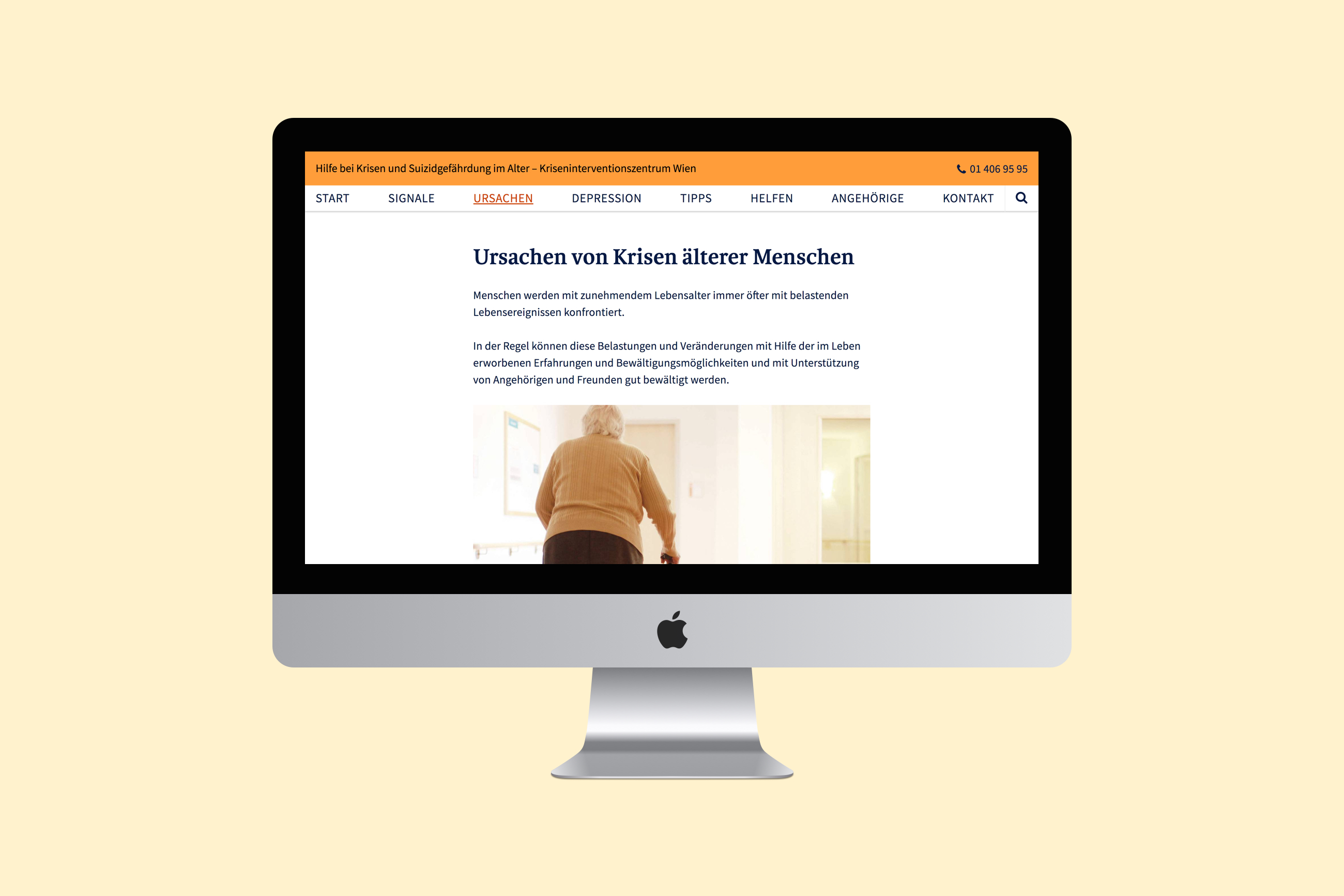 subpage with causes for suicide of elderly people